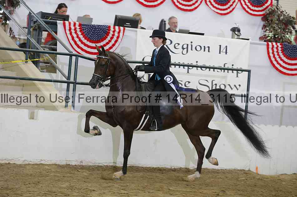 Proof 14r14_3115