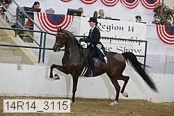 14r14_3115 proof
