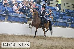14r14_3123 proof