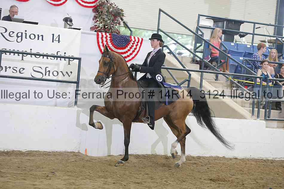 Proof 14r14_3124