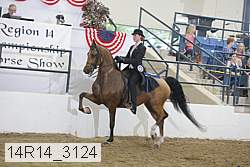14r14_3124 proof