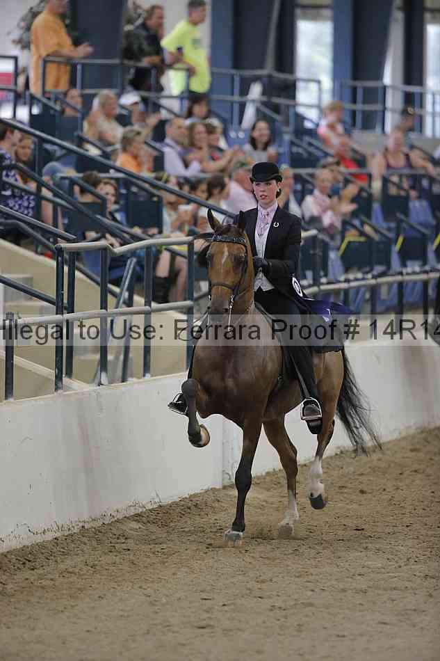 Proof 14r14_3128