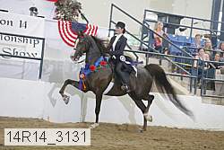 14r14_3131 proof