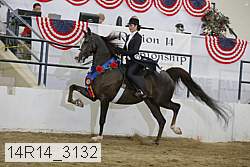 14r14_3132 proof