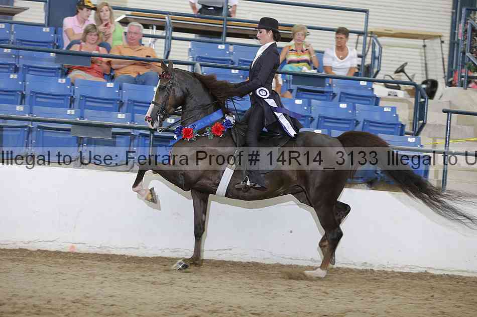 Proof 14r14_3133