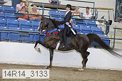 14r14_3133 proof