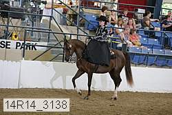 14r14_3138 proof