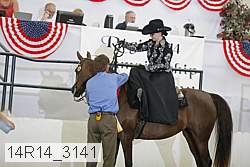 14r14_3141 proof