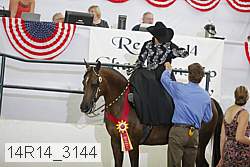 14r14_3144 proof