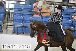 14r14_3145 proof