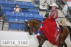14r14_3148 proof