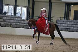 14r14_3151 proof