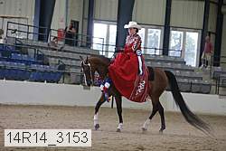 14r14_3153 proof