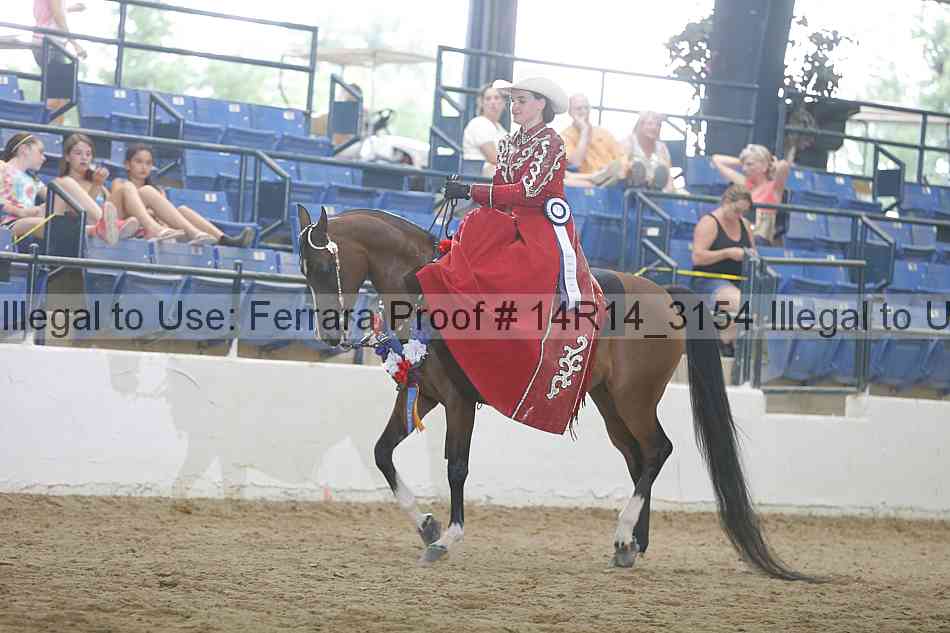 Proof 14r14_3154