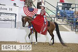 14r14_3155 proof