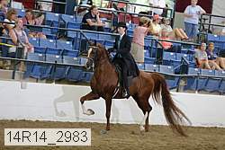 14r14_2983 proof