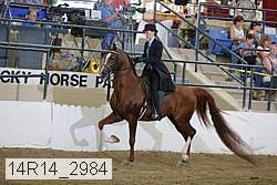 14r14_2984 proof