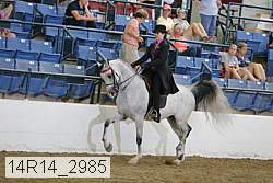 14r14_2985 proof