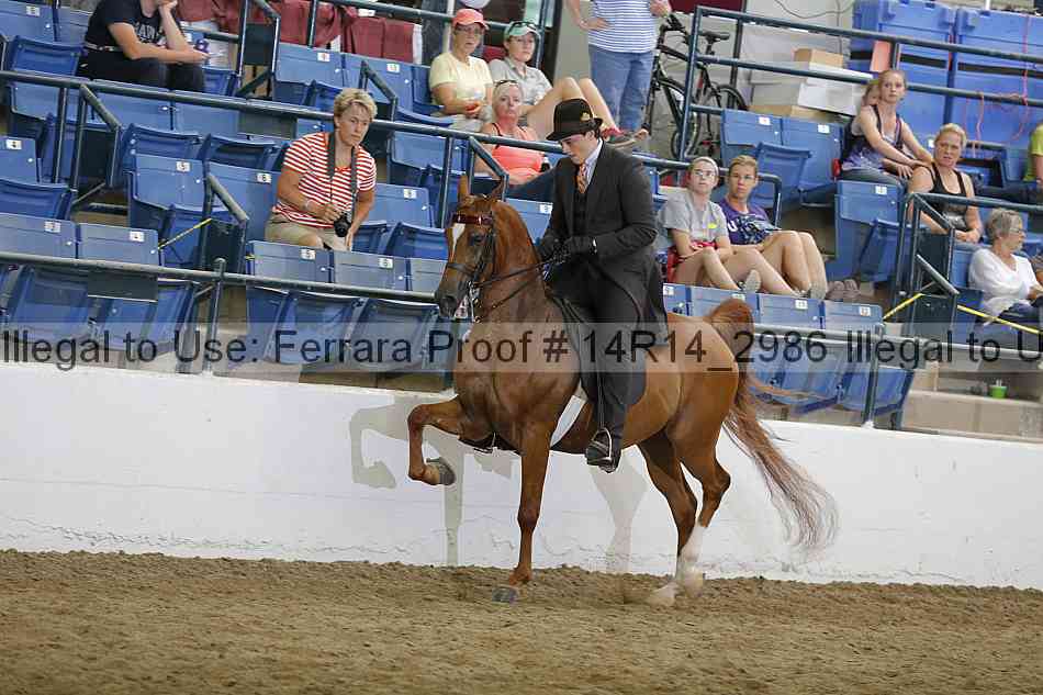 Proof 14r14_2986