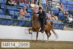 14r14_2986 proof