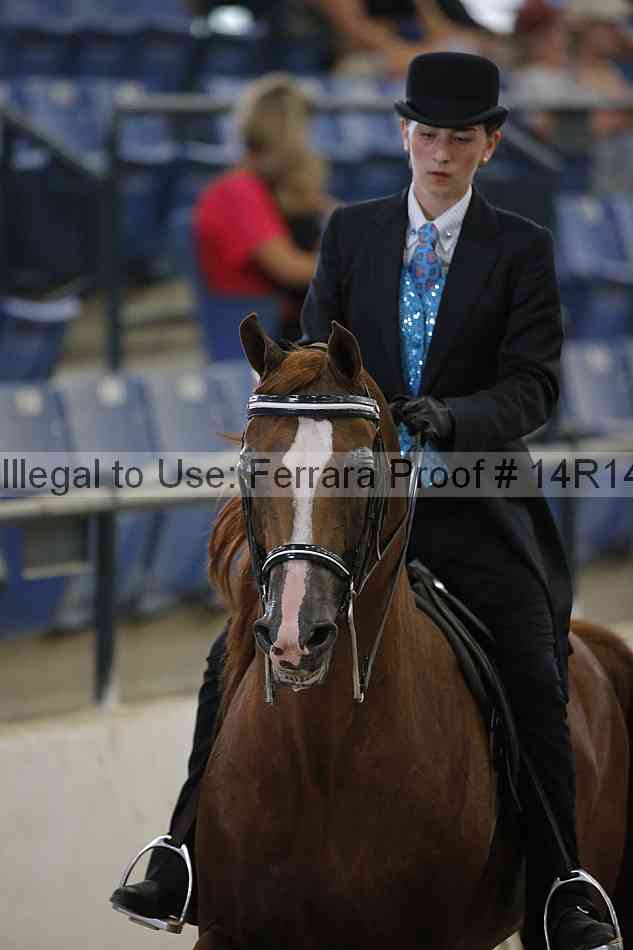 Proof 14r14_2995