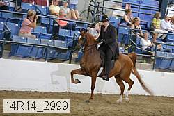 14r14_2999 proof