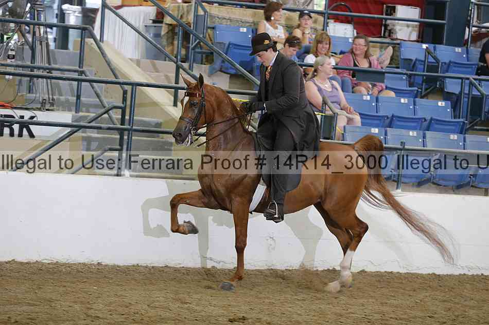 Proof 14r14_3000