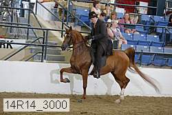 14r14_3000 proof