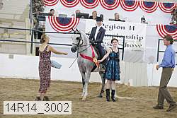 14r14_3002 proof