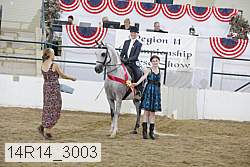 14r14_3003 proof