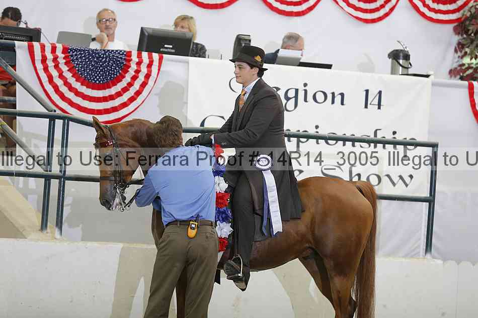 Proof 14r14_3005