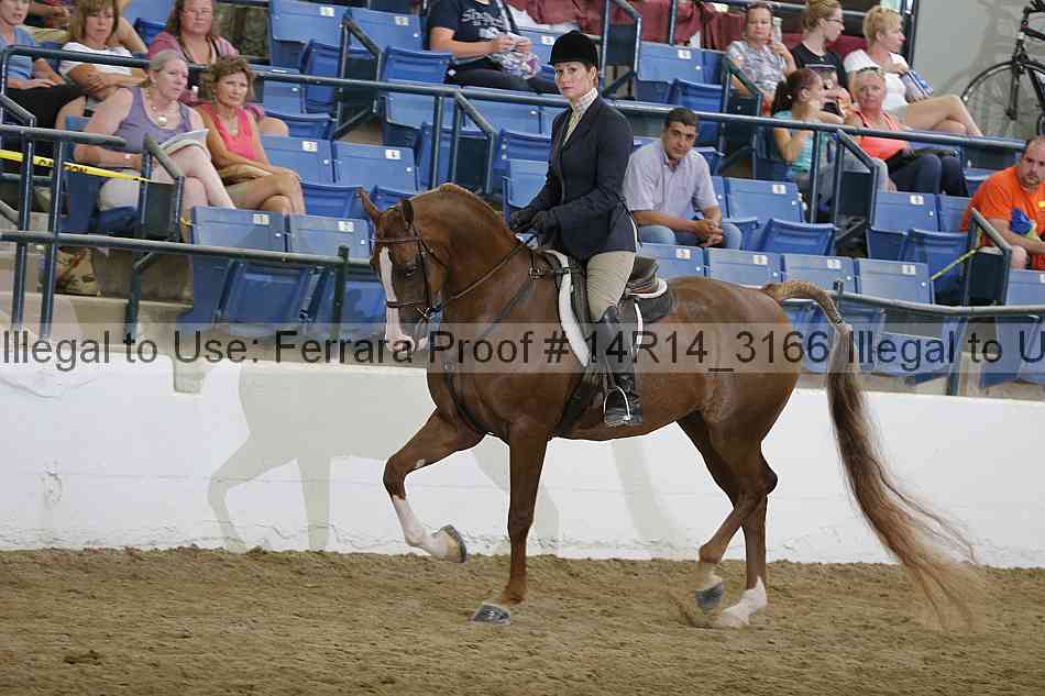 Proof 14r14_3166