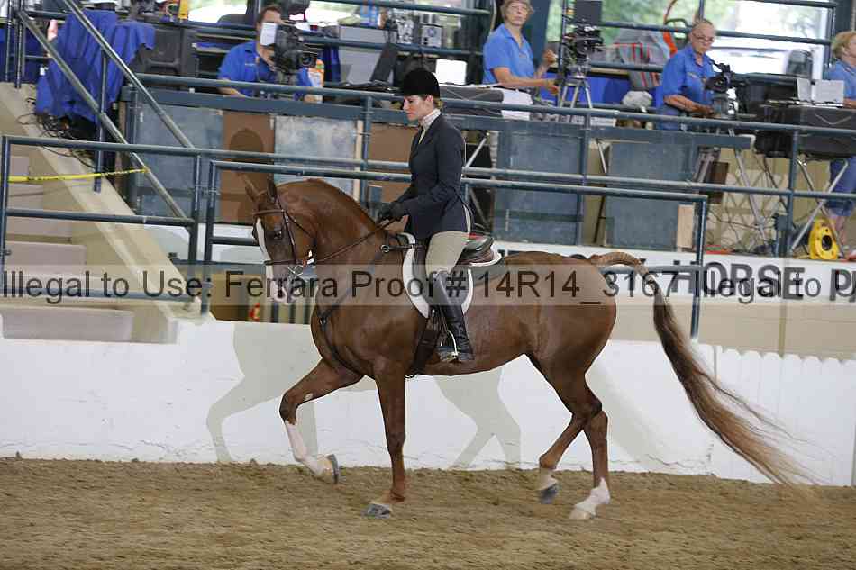 Proof 14r14_3167