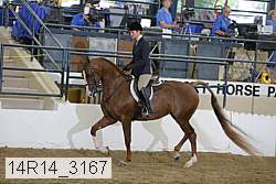 14r14_3167 proof