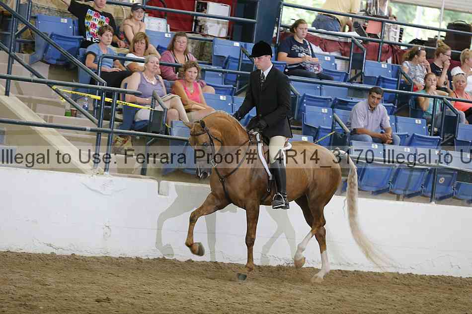 Proof 14r14_3170