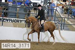 14r14_3171 proof