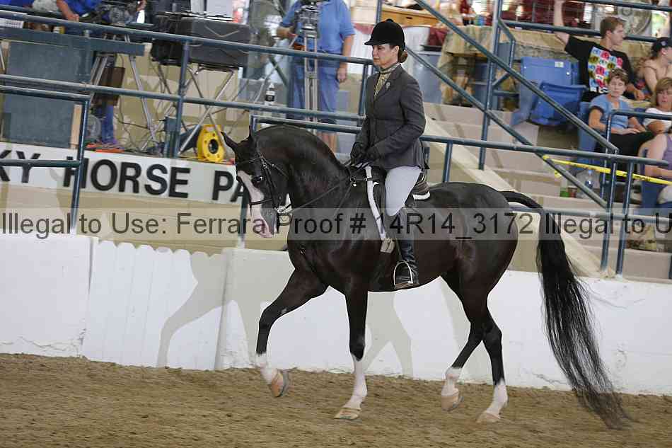 Proof 14r14_3172