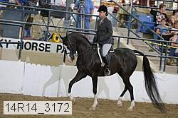 14r14_3172 proof
