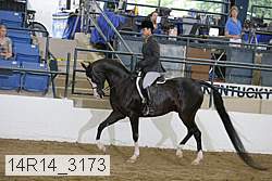 14r14_3173 proof