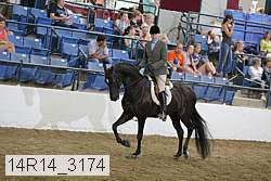14r14_3174 proof