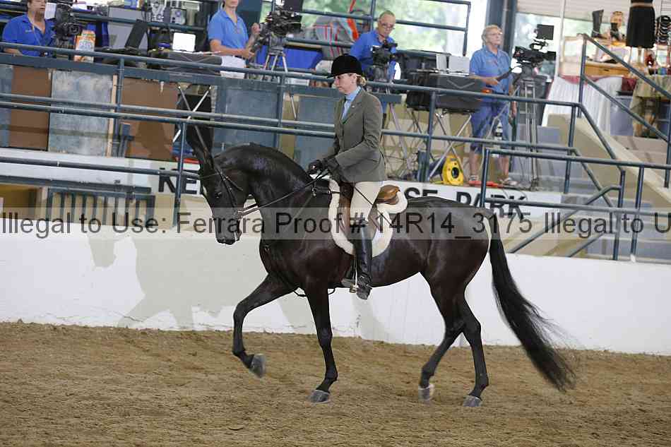 Proof 14r14_3175