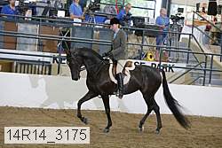 14r14_3175 proof
