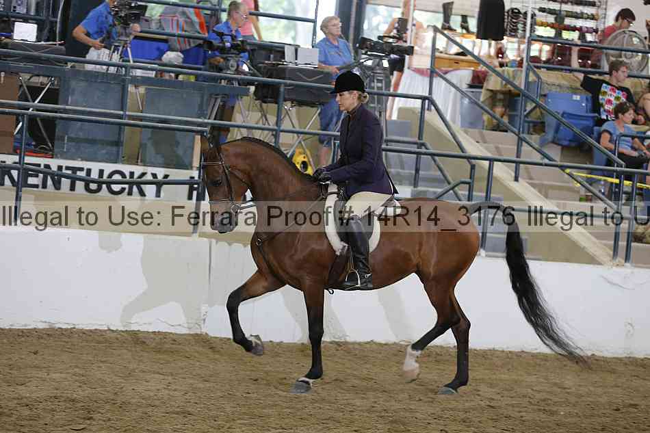 Proof 14r14_3176
