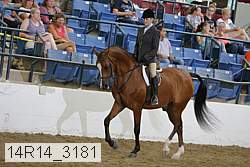 14r14_3181 proof