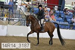 14r14_3187 proof