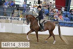14r14_3188 proof