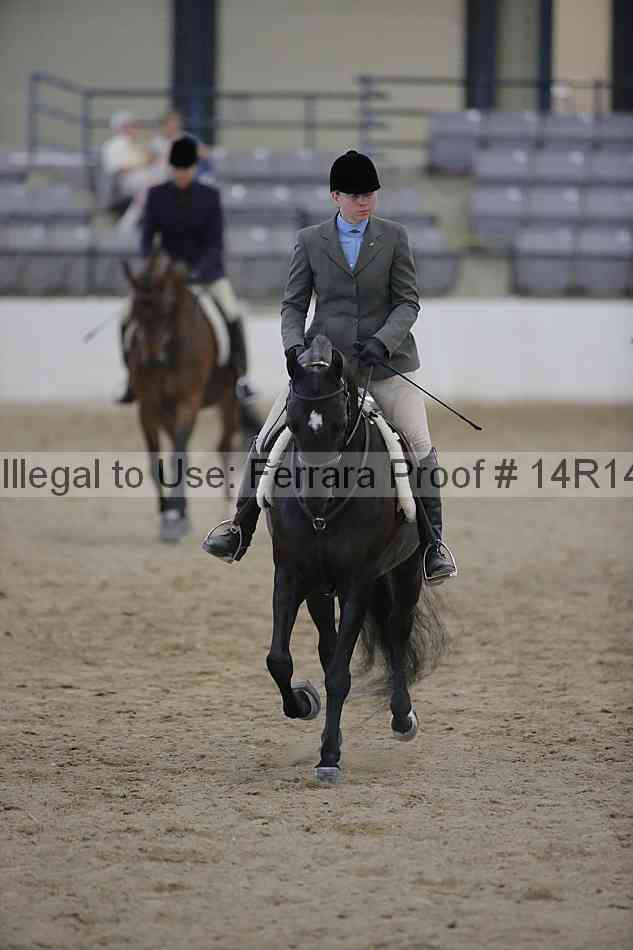Proof 14r14_3189