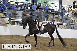 14r14_3193 proof