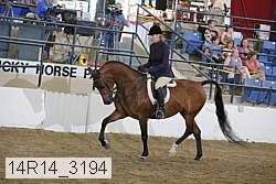 14r14_3194 proof