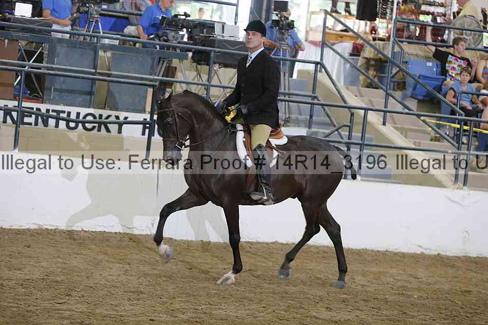 Proof 14r14_3196